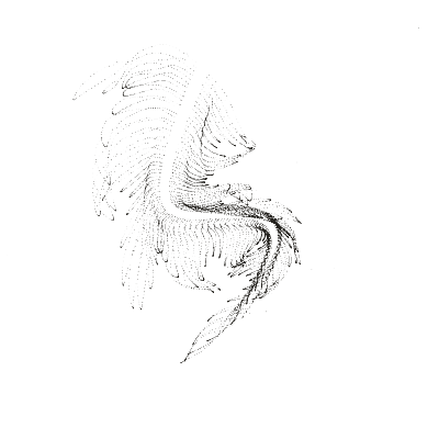 Monochrome generative point study “Tidal Bell,” a mathematical form rendered in black and white.