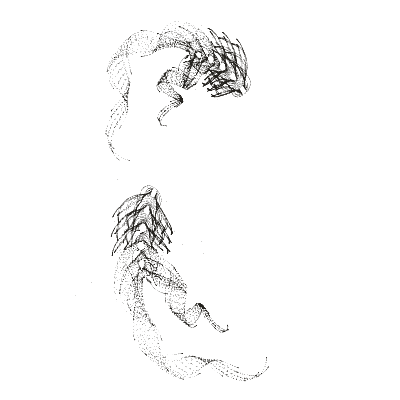 Monochrome generative point study “Lantern Bloom,” a mathematical form rendered in black and white.