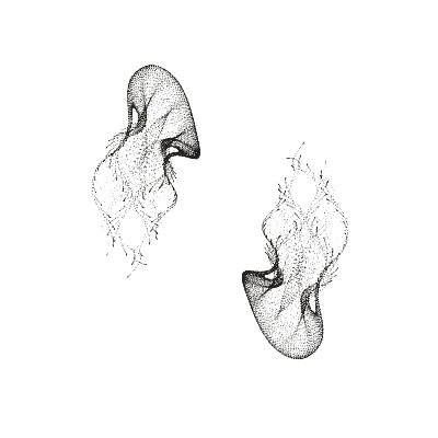 Monochrome generative point study “Hollow Crown,” a mathematical form rendered in black and white.