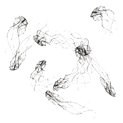 Monochrome generative point study “Parity Bloom,” a mathematical form rendered in black and white.